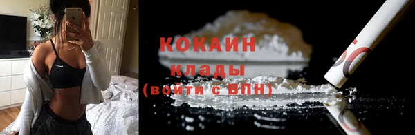 амф Гусь-Хрустальный