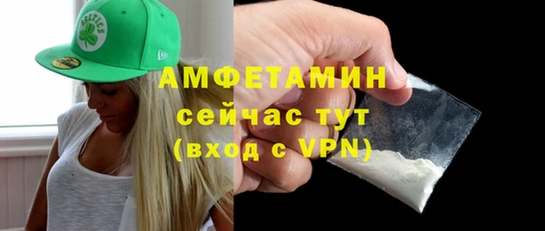 амф Гусь-Хрустальный
