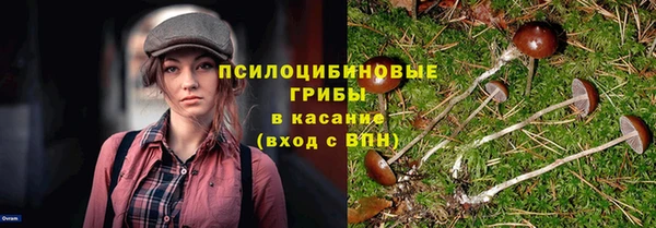 амф Гусь-Хрустальный