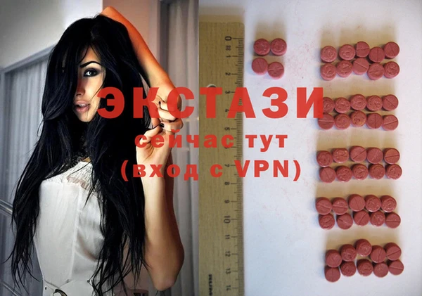 амф Гусь-Хрустальный