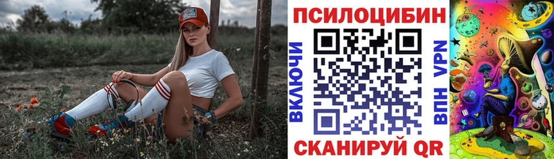 Псилоцибиновые грибы прущие грибы Фурманов