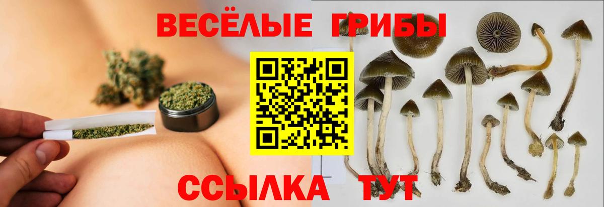 Фурманов  Псилоцибиновые грибы Psilocybe  Вход с VPN 