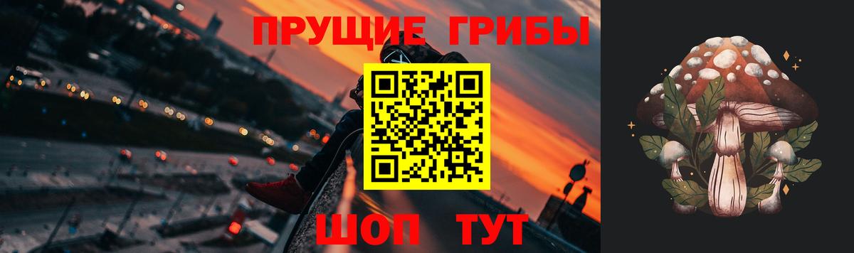 Псилоцибиновые грибы Psilocybe Фурманов