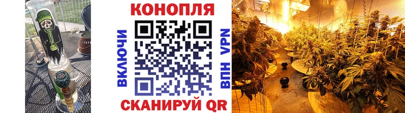 Каннабис SATIVA & INDICA  цены   Фурманов 